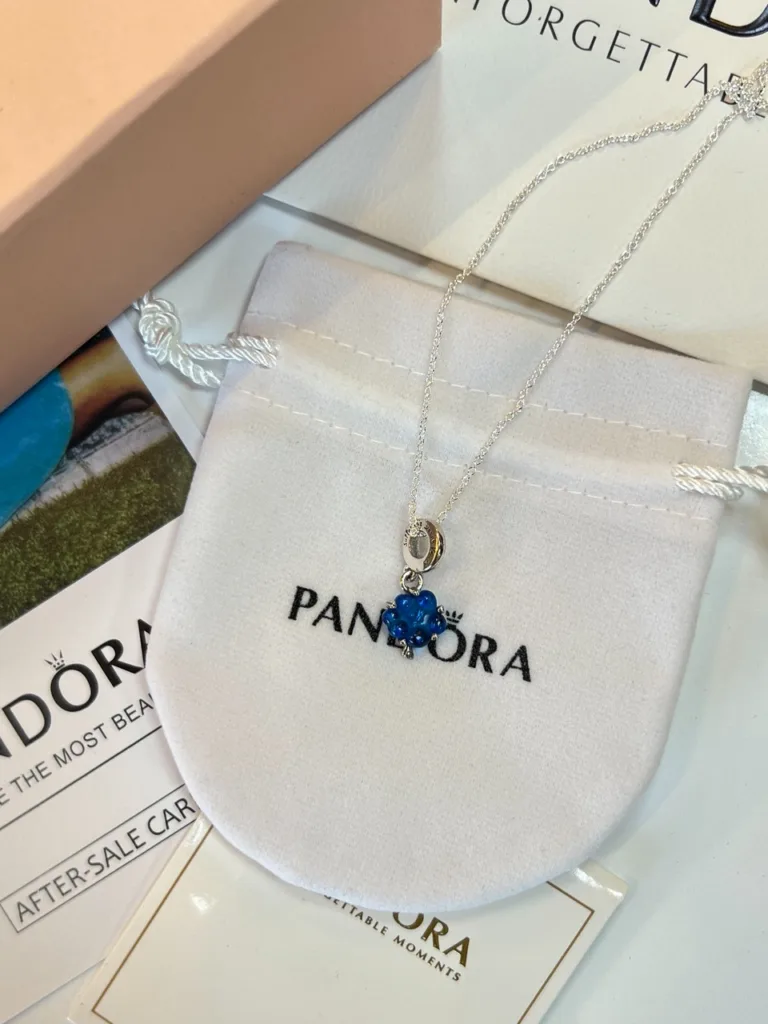 Pandora necklace – photo 14