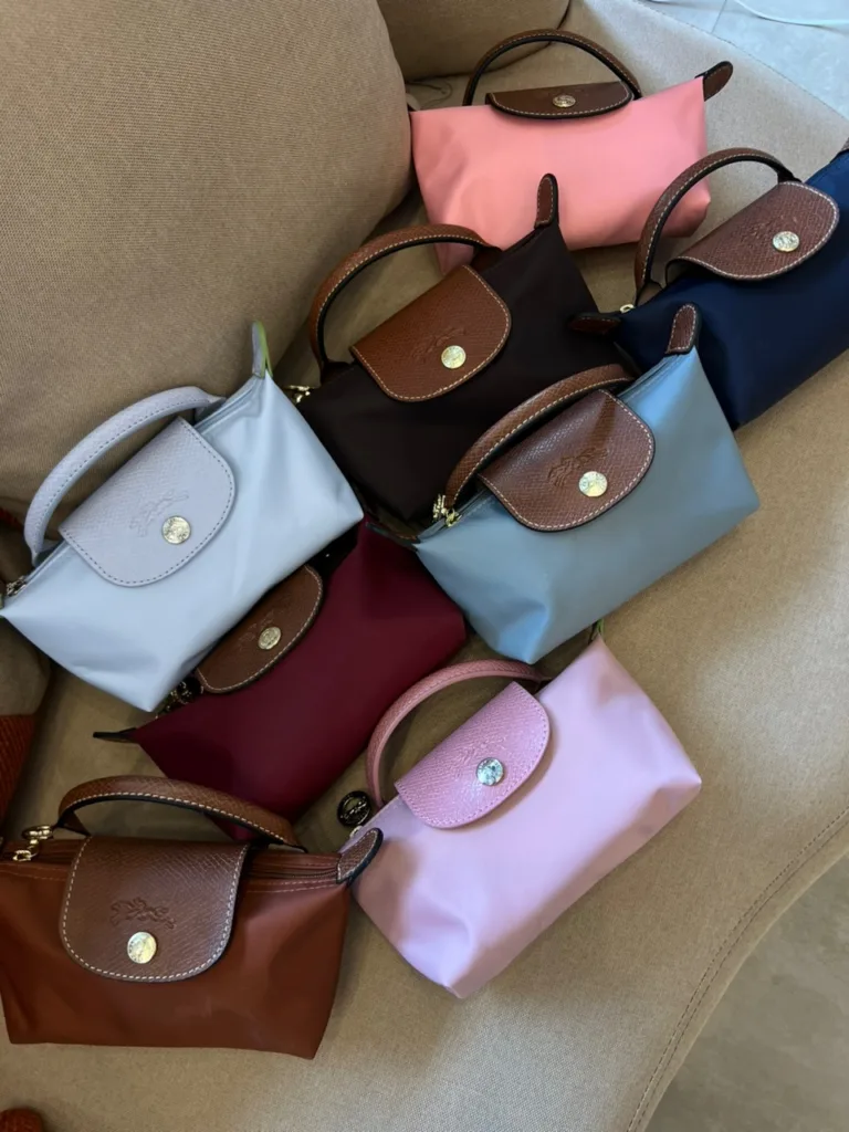 Long champ mini bag