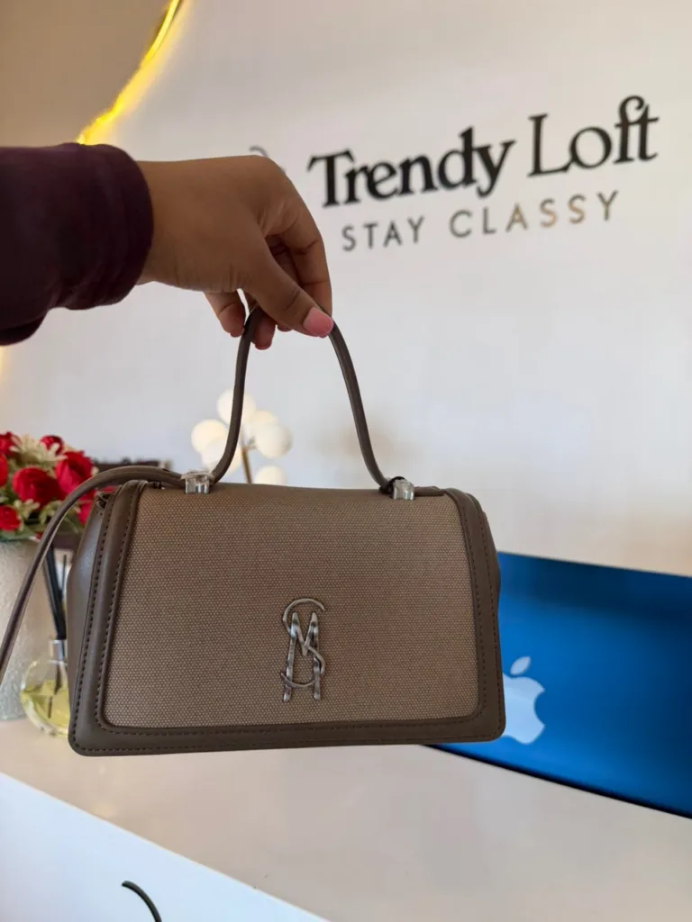 Steve Madden handbag