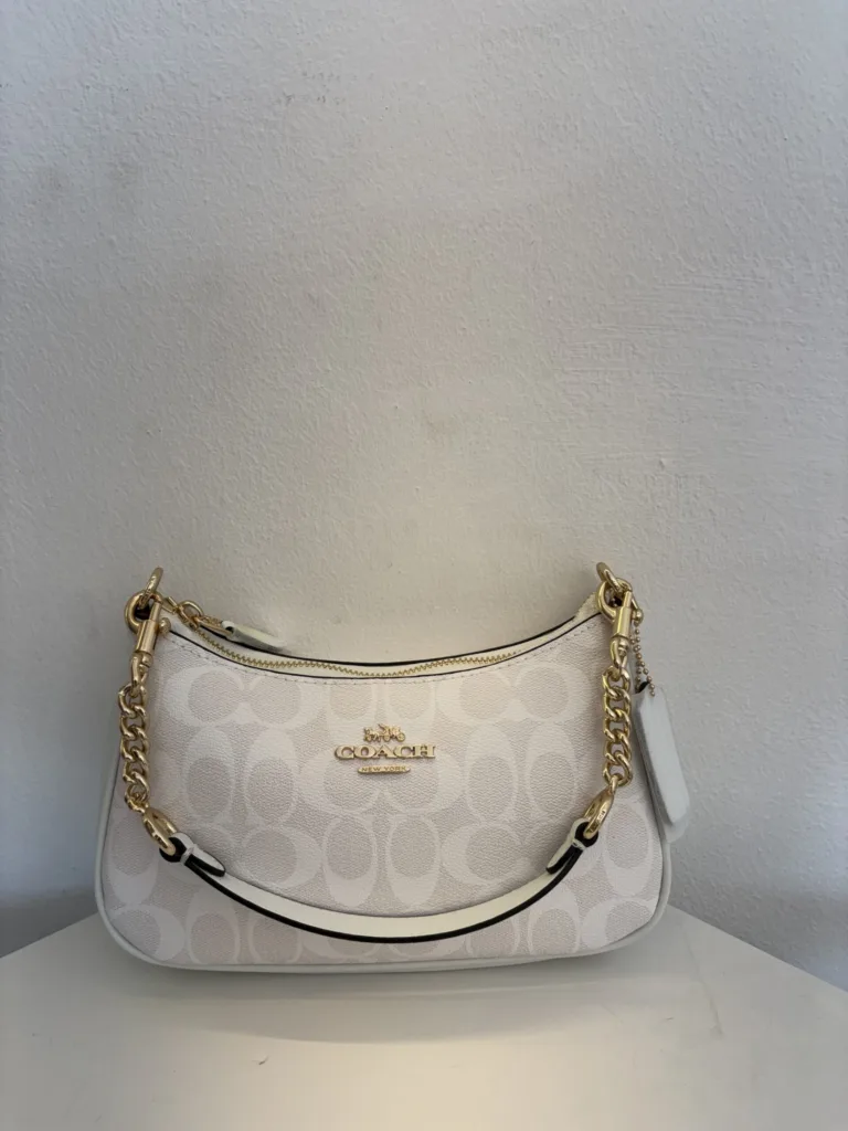 Coach Teri hobo – chalk signature
