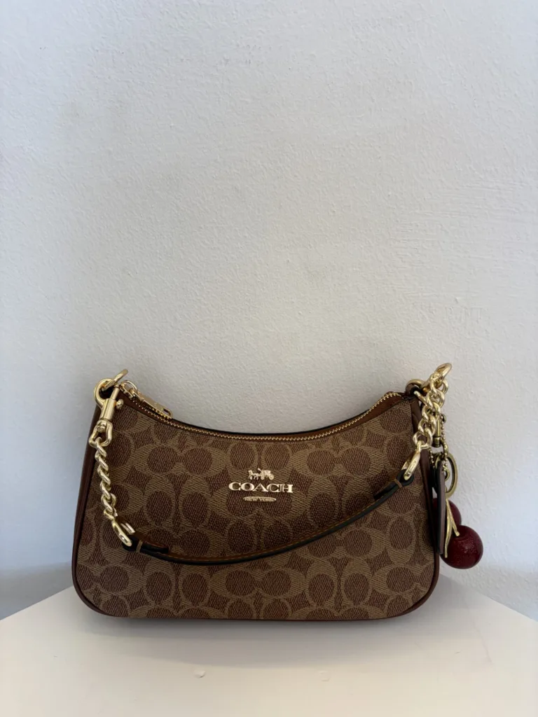 Coach Teri hobo – brown signature with cherry charm